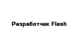 Разработчик Flash